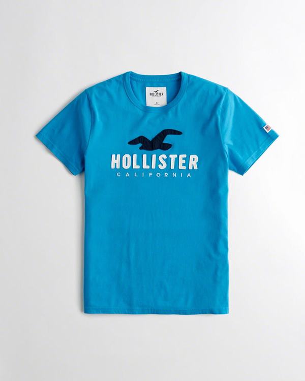 Camisetas Manga Corta Hollister Hombre Tienda De Ropa Hollister